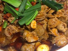 红烧肥肠煲-火胖子肥肠煲·始于1998(南山村店)