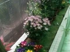 android_upload_pic-百姓百味海鲜酒楼(粤垦路总店)