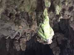 -怀托摩萤火虫洞