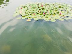 -尚贤河湿地