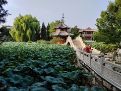 -莲池书院博物馆