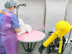 -宠福鑫康馨动物医院·骨科·眼科