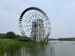 -苏州太湖湖滨国家湿地公园