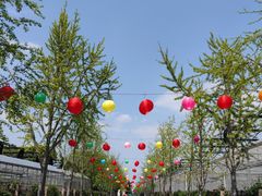 -菊园百果园