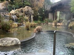 -凤翔首邑温泉度假村