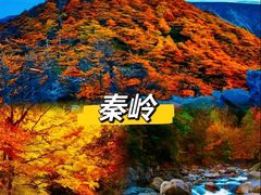 -秦岭风景区