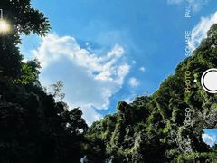-鼎湖山风景区