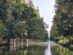 -上海长兴岛郊野公园