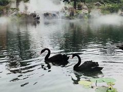 -罗红摄影艺术馆