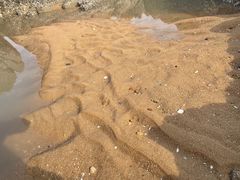 -大京沙滩