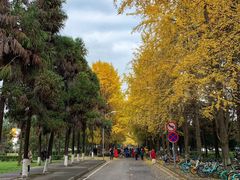-四川大学(望江校区)