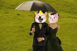 -女王风尚STUDIO·轻奢化定制