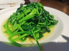 -金枝玉叶上海人家食府(三里河店)