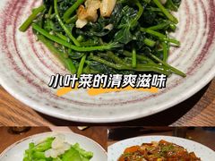 -馋嘴猫北京食堂·烤鸭·宵夜(亚运村店)