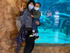 -华夏文旅海洋公园