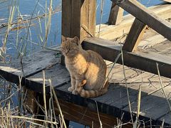 -野鸭湖国家湿地公园