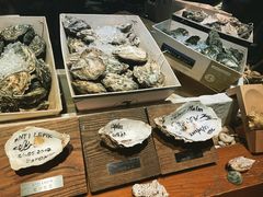 -普朗姆生蚝吧(原建国路店)