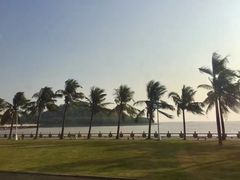 -野狸岛