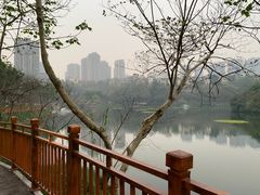 -重庆彩云湖湿地公园