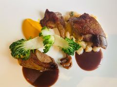 -蝶舍·MAISON PAPILLON