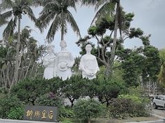 -东郊椰林