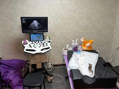 -宠爱国际动物医院·消化内科·心肾内科·ISFM猫友好(望京店)