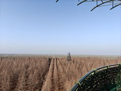 -黄海国家森林公园