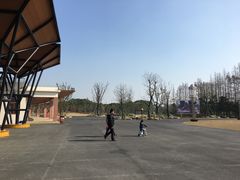 -上海长兴岛郊野公园