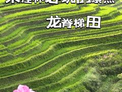 -龙脊梯田