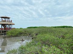 -北海金海湾红树林生态旅游区