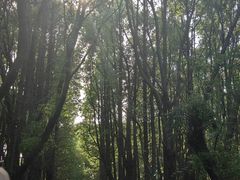 -同里国家湿地公园