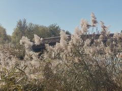-马家湾湿地公园