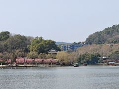 -西湖游船