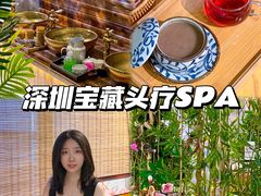 -施奈儿.洗头頭療.按摩SPA.采耳(上梅林店)