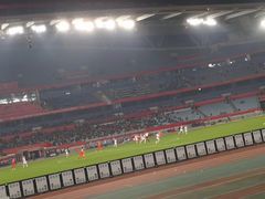 -南京奥林匹克体育中心-体育馆