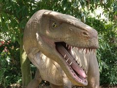 -自贡恐龙博物馆