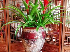 -金騰閣·经典粤菜(汾江中路店)