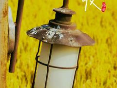 -南京市无想山景区