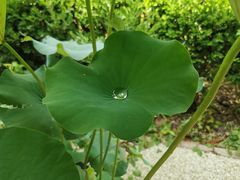 -法华学问寺-停车场