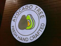 -油梨树 AVOCADO TREE(亮马桥店)