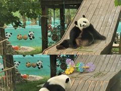 -临沂动植物园