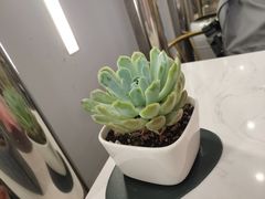 -猫王榴莲世家(三里屯SOHO商场店)