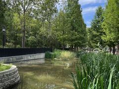 -白水寺森林公园