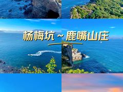 -鹿嘴山庄