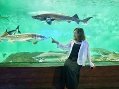 -太平洋海底世界