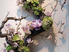 -荷兰布尔玛国际花艺学院