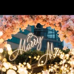 -迈瑞米求婚策划(静安店)