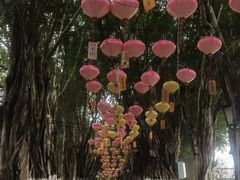 -丰都鬼城名山景区