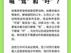 -多维国际马术俱乐部(118广场店)