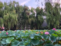 -四川大学(望江校区)